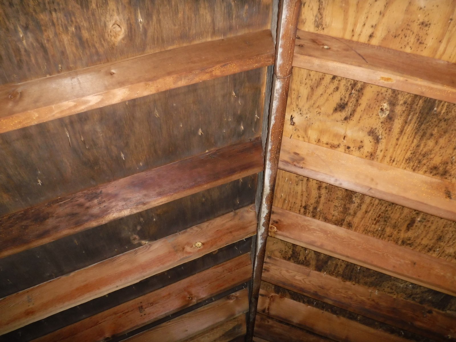 Attic mold inspection Fairfield County CT